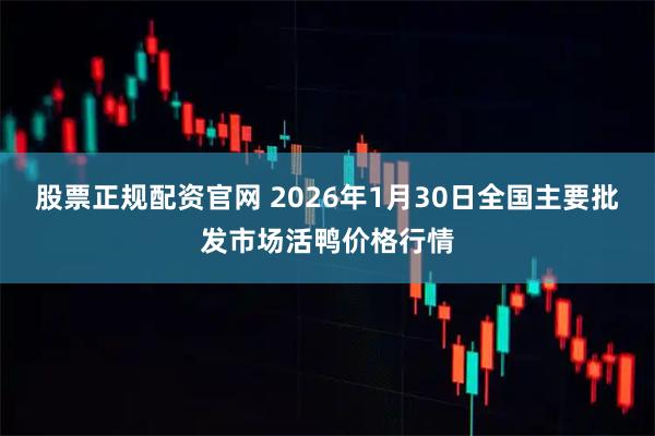 股票正规配资官网 2026年1月30日全国主要批发市场活鸭价格行情